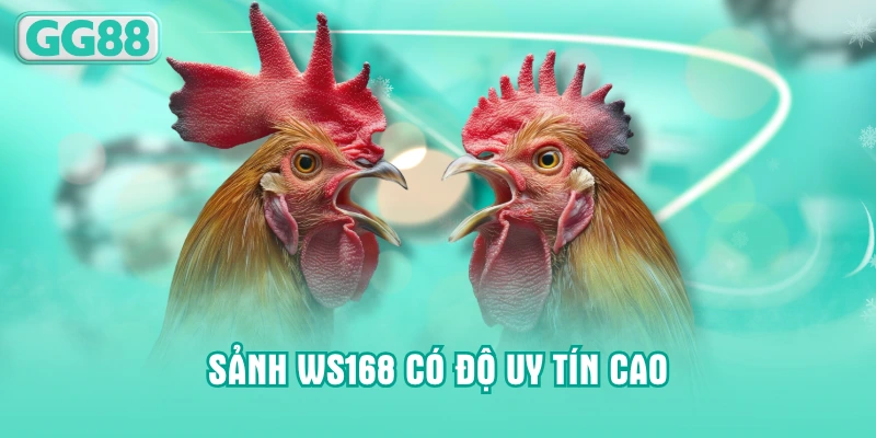Sảnh WS168 có độ uy tín cao